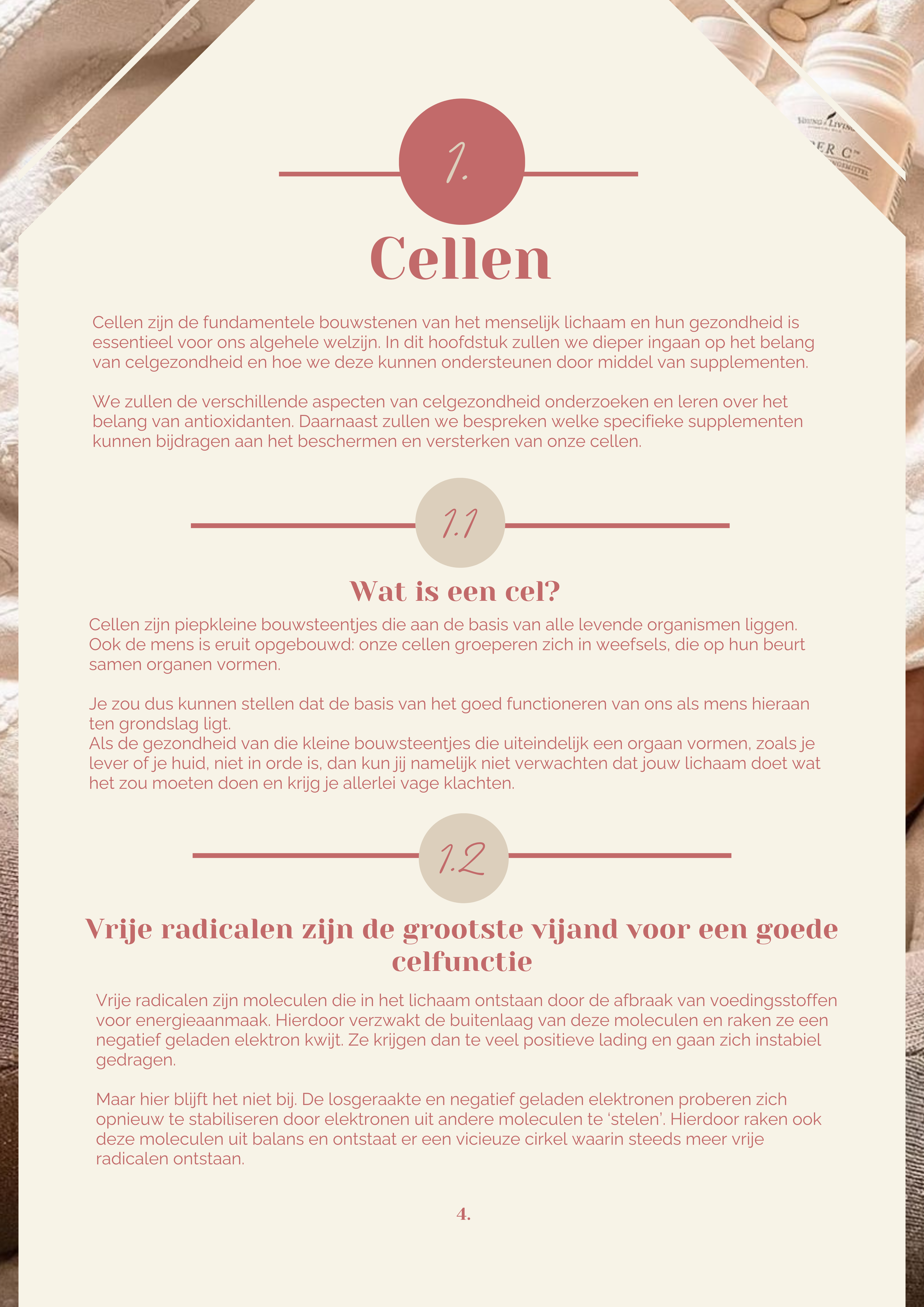 HET MEGA SUPPLEMENTEN E-BOOK